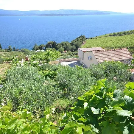 Murvica